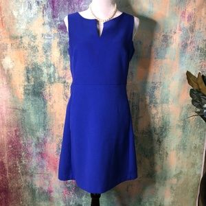📌 GAP  Beautiful Sleeveless Royal Blue Fit and Flair Dress